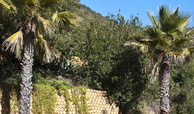 Especificações do Mazda MX-5 reveladas! 20