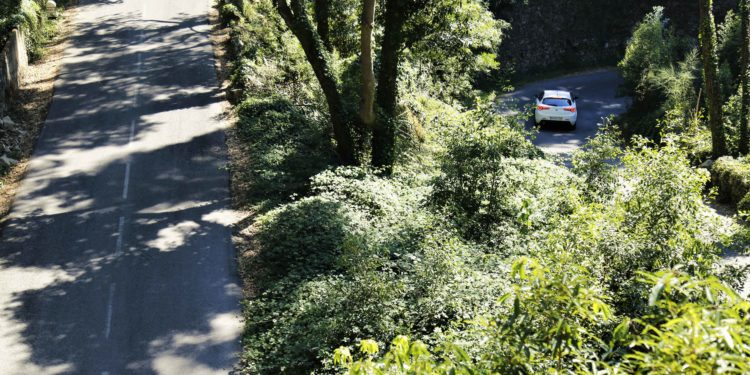 Alfa Romeo Giulietta: Raça italiana! 57