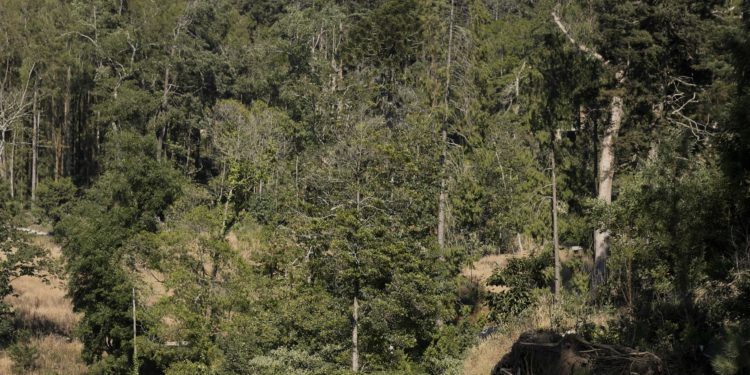 Alfa Romeo Giulietta: Raça italiana! 13