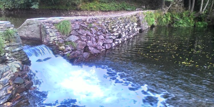 Estrada Colmeal - Góis: Uma maravilha na Beira Interior! 26