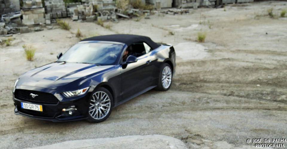 14690892_1307673689251583_1445428240229466899_n