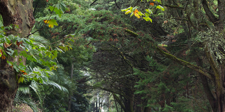 Ford Mustang 2.3 Ecoboost: O ícone Americano! 35