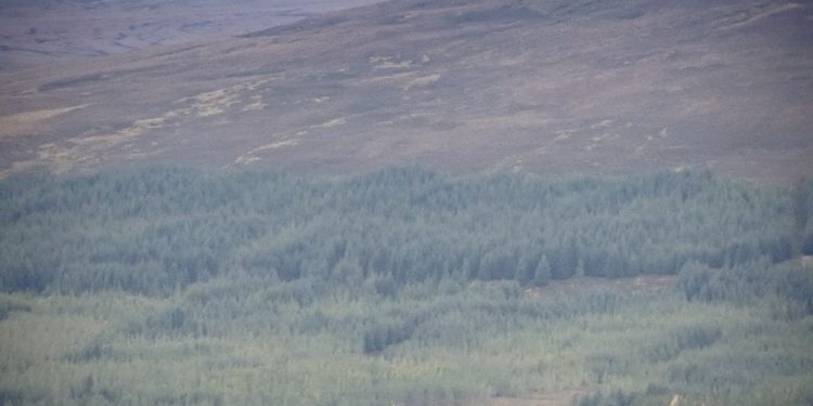 Mercedes 4X4 atravessam Reino Unido sem utilizar estradas publicas! 26