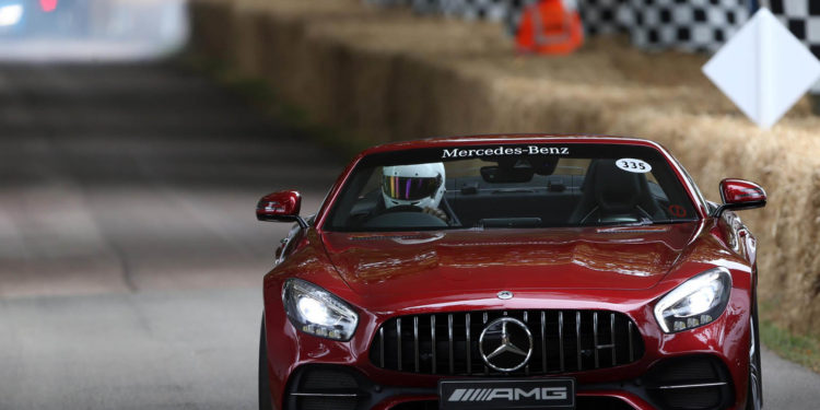 Os melhores carros da Europa em GoodWood (Galeria fotográfica)! 46