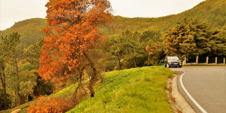 Jeep Cherokee 2.0 Multijet 140cv: Maus caminhos em classe executiva! 29