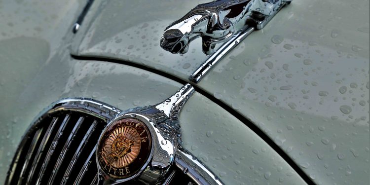 Salão Motorclássico pela lente de José da Palma! 17