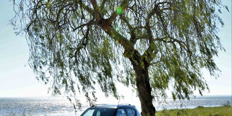 Suzuki Ignis 1.2 GLX: Ao volante do SUV mais pequeno do mercado! 65