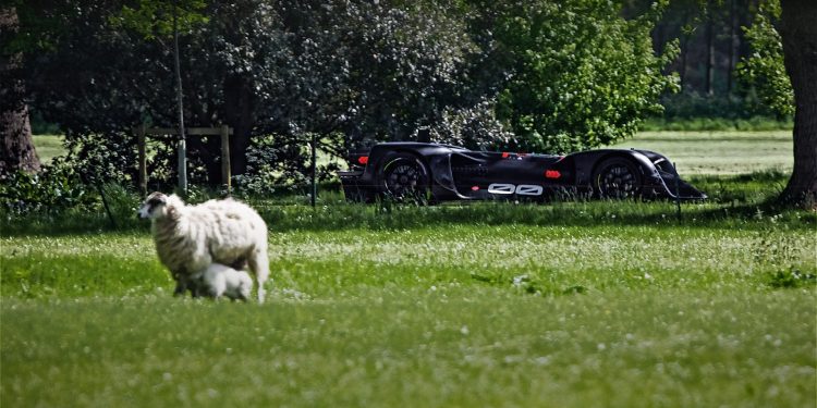 Este é o primeiro automóvel totalmente autónomo a atacar a rampa de Goodwood! 14