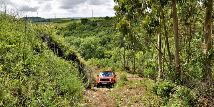 Jeep Renegade Trailhawk 2.0 4X4: Aventura em modo premium! 56 Jeep Renegade Trailhawk 2.0 4X4: Aventura em modo premium! 56