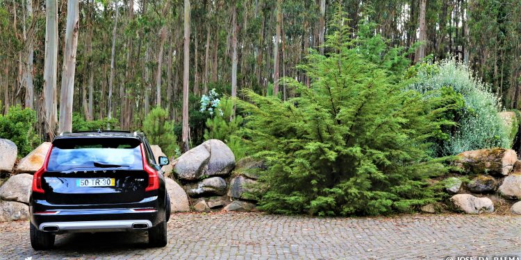 Volvo XC90 T8 Plug-Hybrid Inscription: Ecologia de Luxo! 74