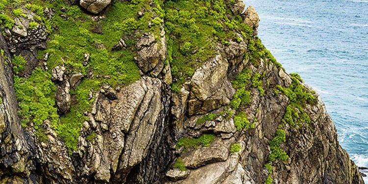 Mercedes GLE revelado com novo design e mais tecnologia! 39