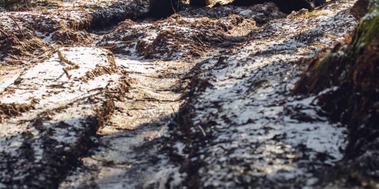 EUA e Canadá recebem novo Land Rover Defender em 2020! 26