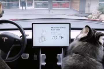 Tesla lança "Dog Mod", um sistema que protege o seu cão! 22