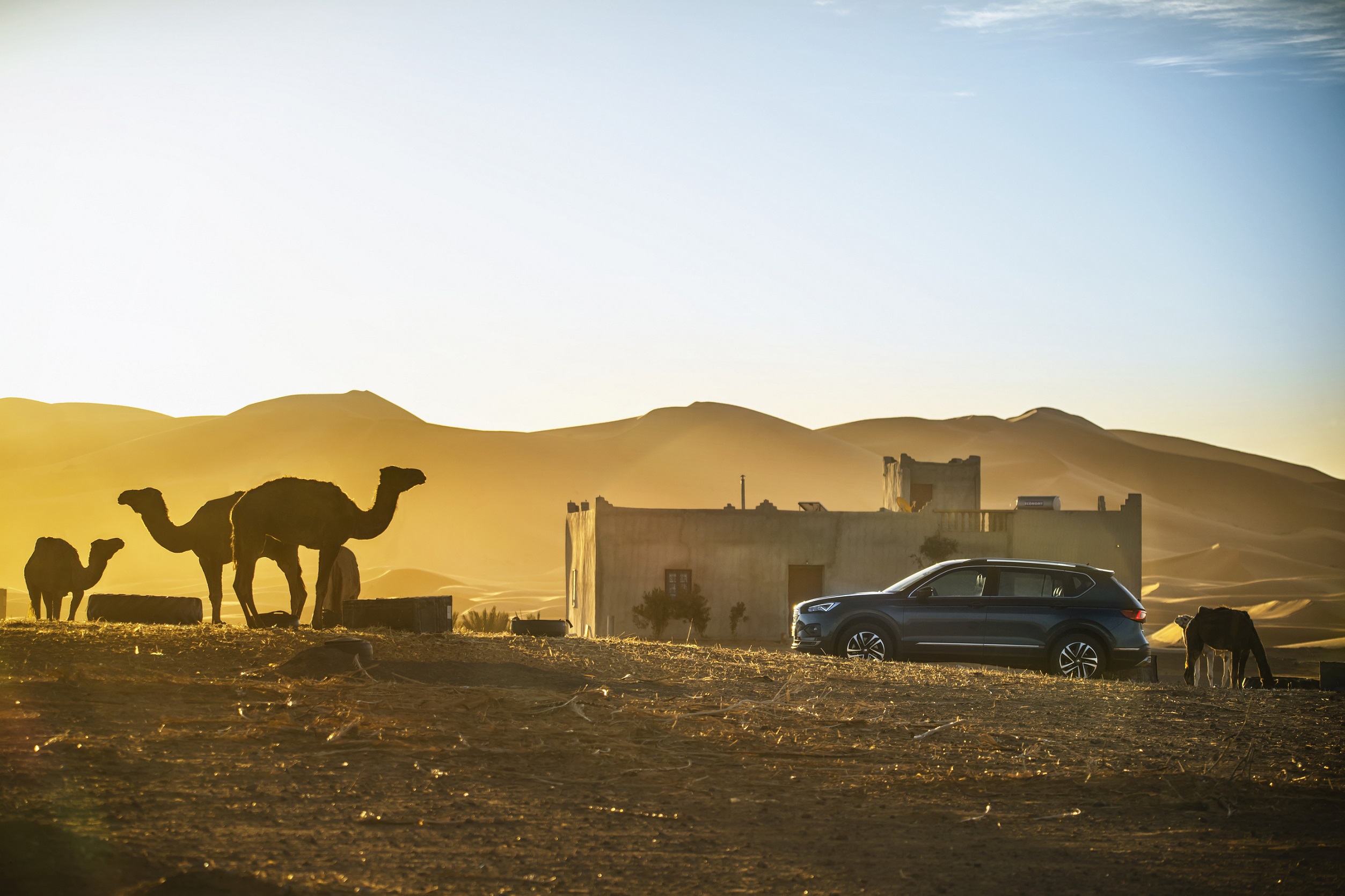 SEAT marca presença no World Press Photo 2019 14