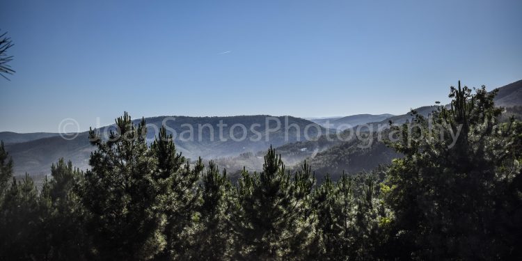 O Rali de Portugal pela lente do João Santos! (Galeria) 14