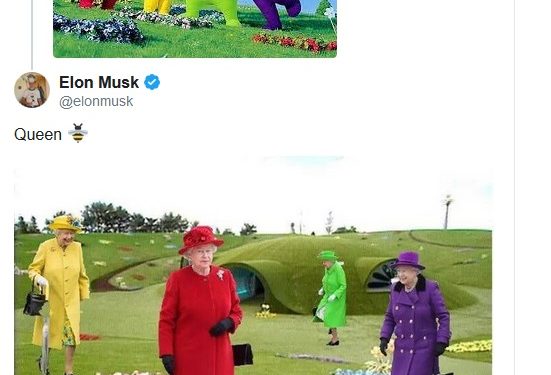 Tesla Model B será uma Pick-up? 14