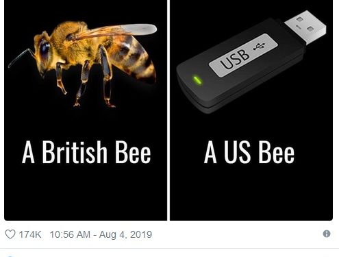 Tesla Model B será uma Pick-up? 15