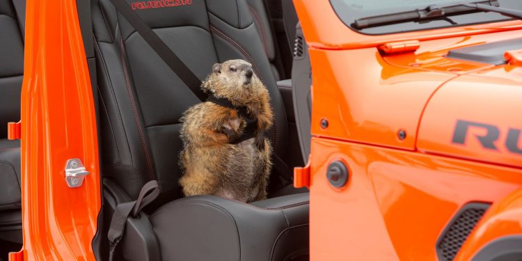 Groundhog Day” com o Jeep® Gladiator e Bill Murray 14