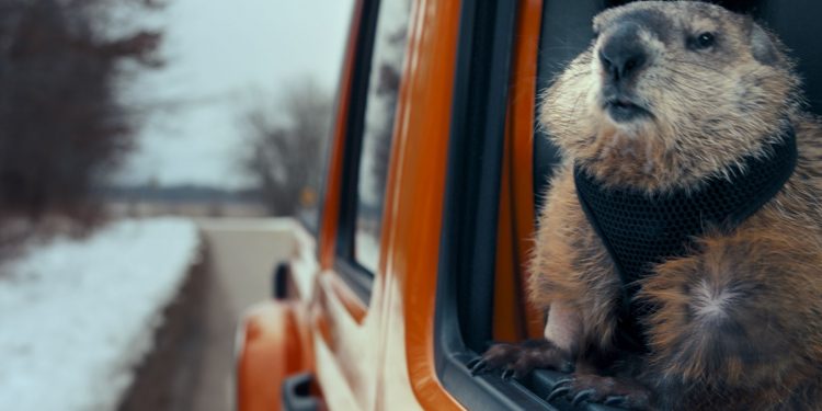 Groundhog Day” com o Jeep® Gladiator e Bill Murray 19