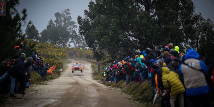 Rallye Serras de Fafe e Felgueiras: José Pedro Fontes e Inês Ponte a um passo do pódio 14