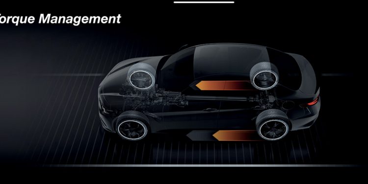 Novos Giulia e Stelvio Quadrifoglio MY2020: potência nos mais ínfimos detalhes 19