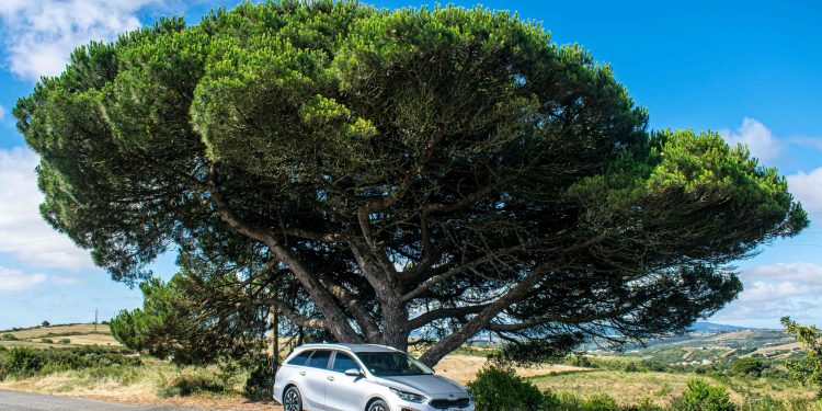 KIA Ceed SW Plug-in Hybrid: Solução em tempos de transição! 57