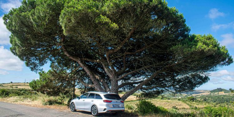 KIA Ceed SW Plug-in Hybrid: Solução em tempos de transição! 59