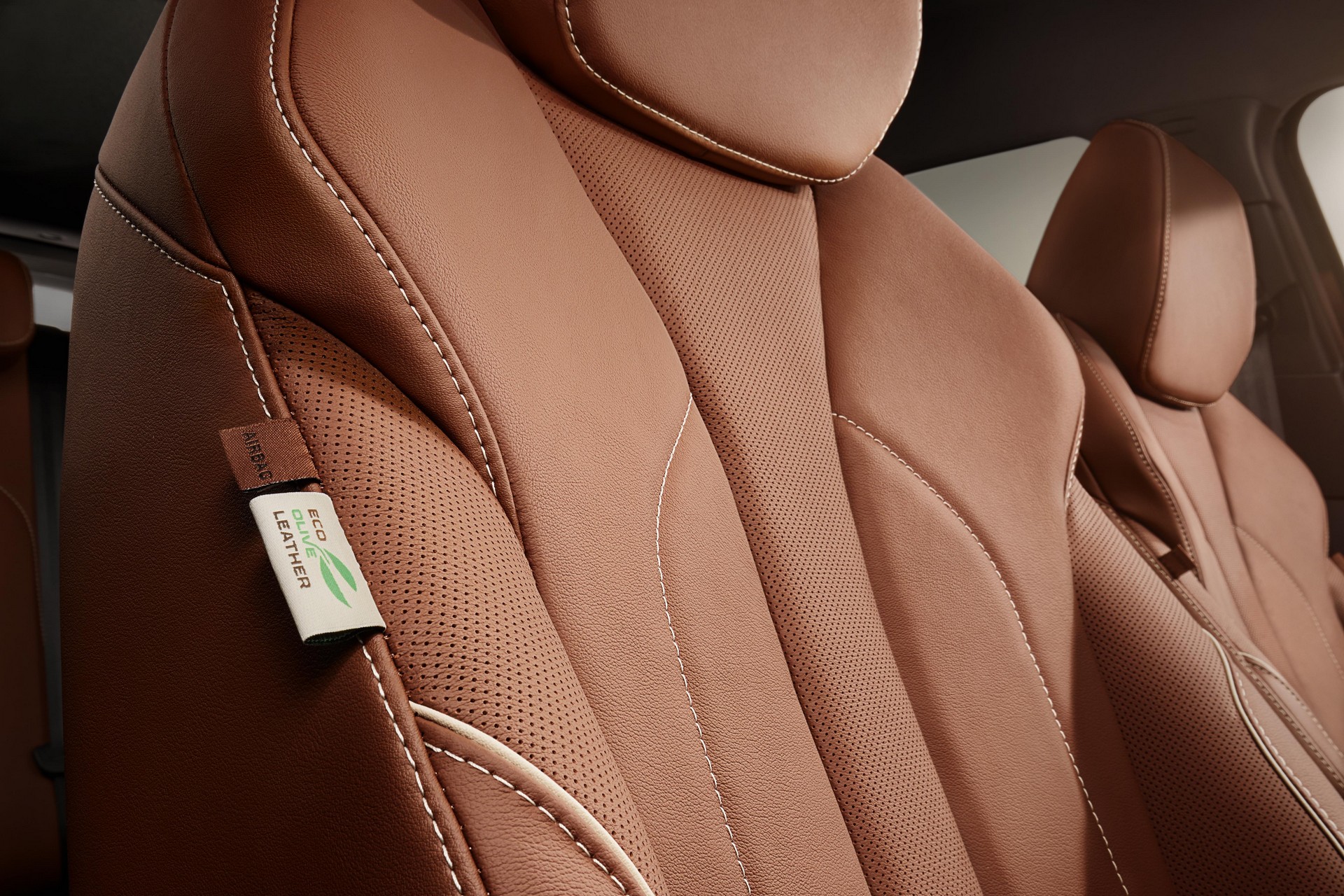 Skoda Enyaq iV revelado com 510km de autonomia sem emissões! 22