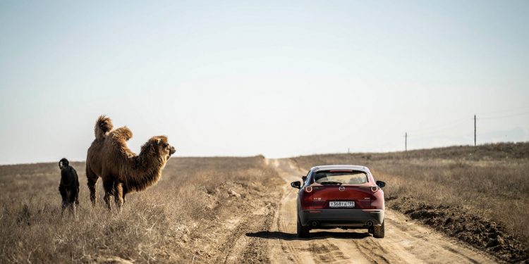 Avançado sistema i-Activ AWD permitiu ao Mazda CX-30 explorar as maravilhas do Cazaquistão 13