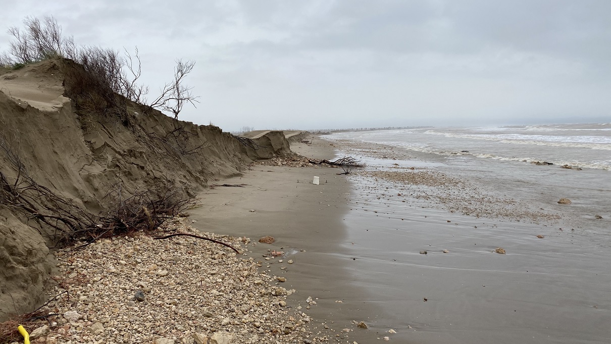 SEAT e Grupo Volkswagen recuperam o ecossistema do Parque Natural Delta do Ebro 14