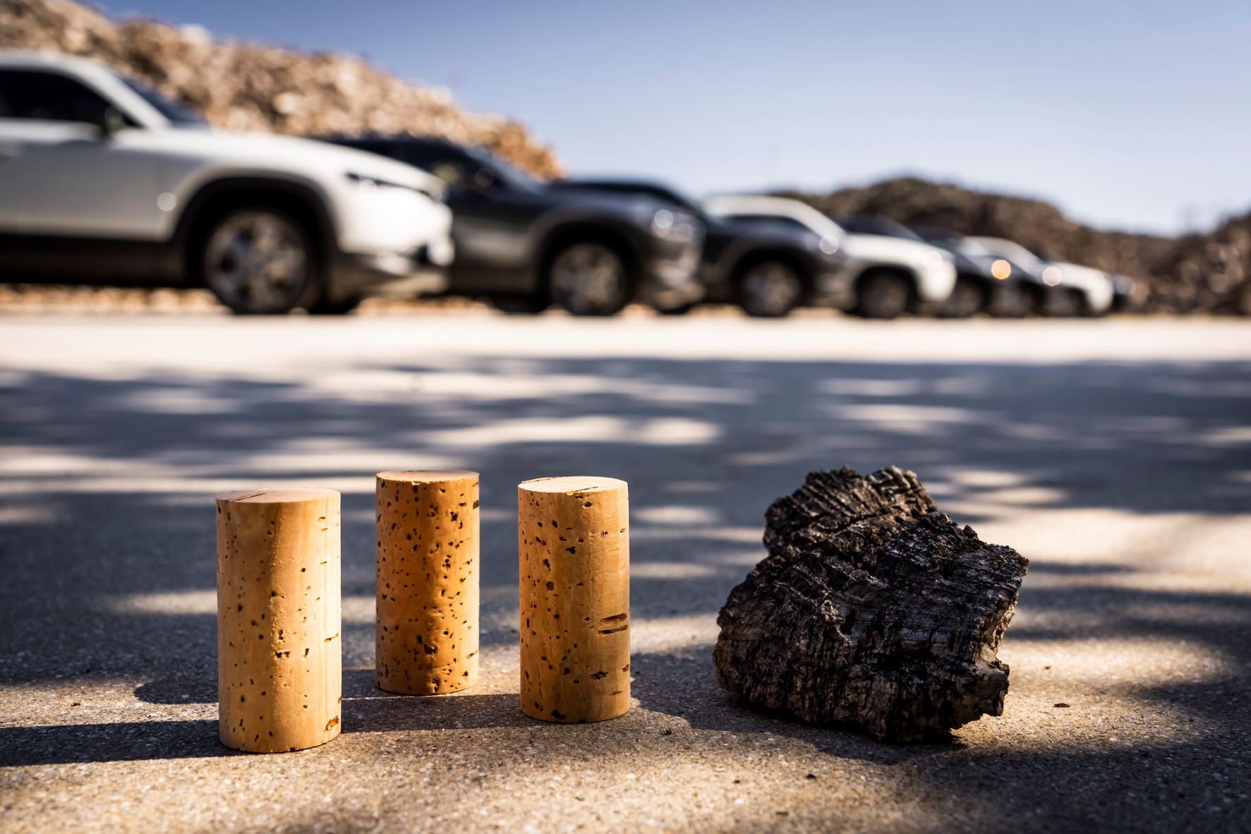 A cortiça e o MX-30: Encontro entre o passado e o futuro 14