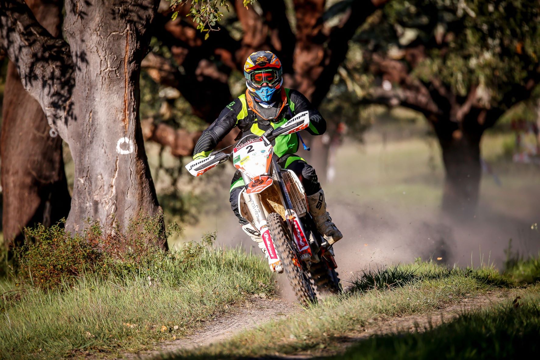 BP Ultimate Baja TT ACP: regresso das emoções do TT em prova seletiva e desafiante 17