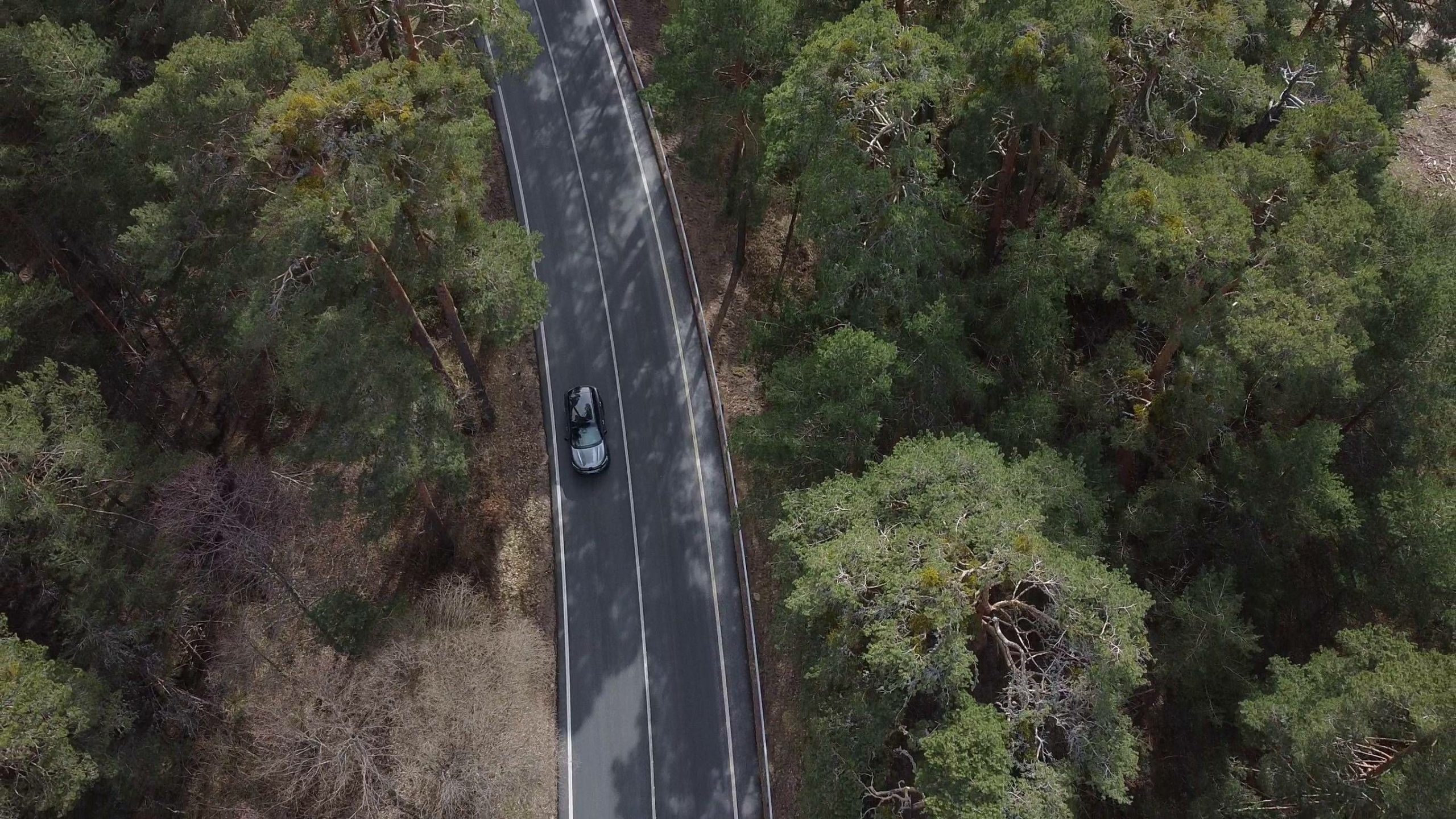 Renault Austral, 75 voltas ao mundo para garantir a sua qualidade 19