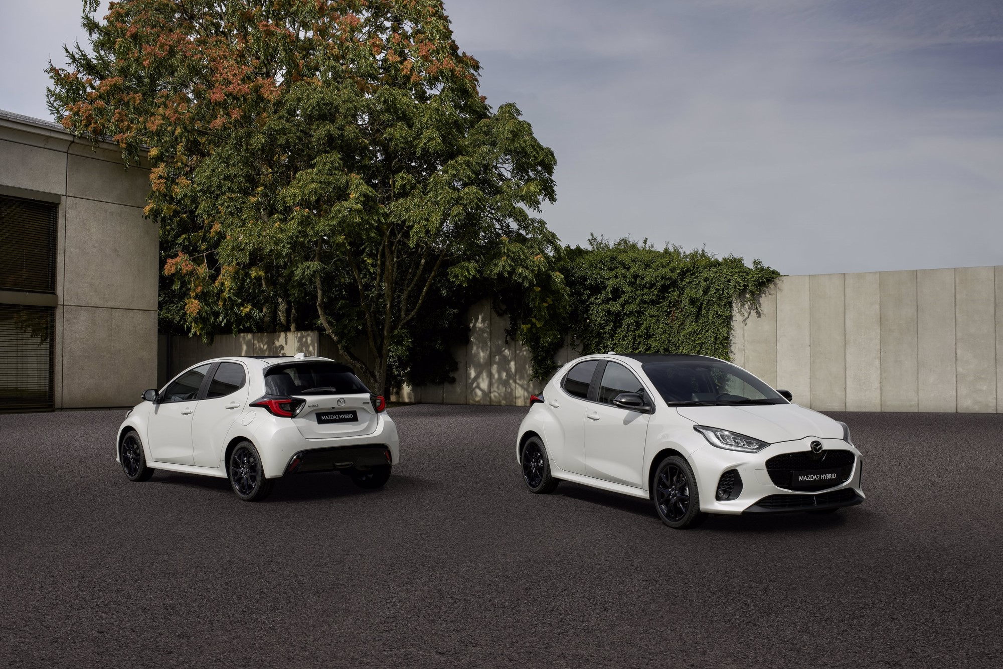 Geração 2024 do Mazda2 Hybrid já em produção 15