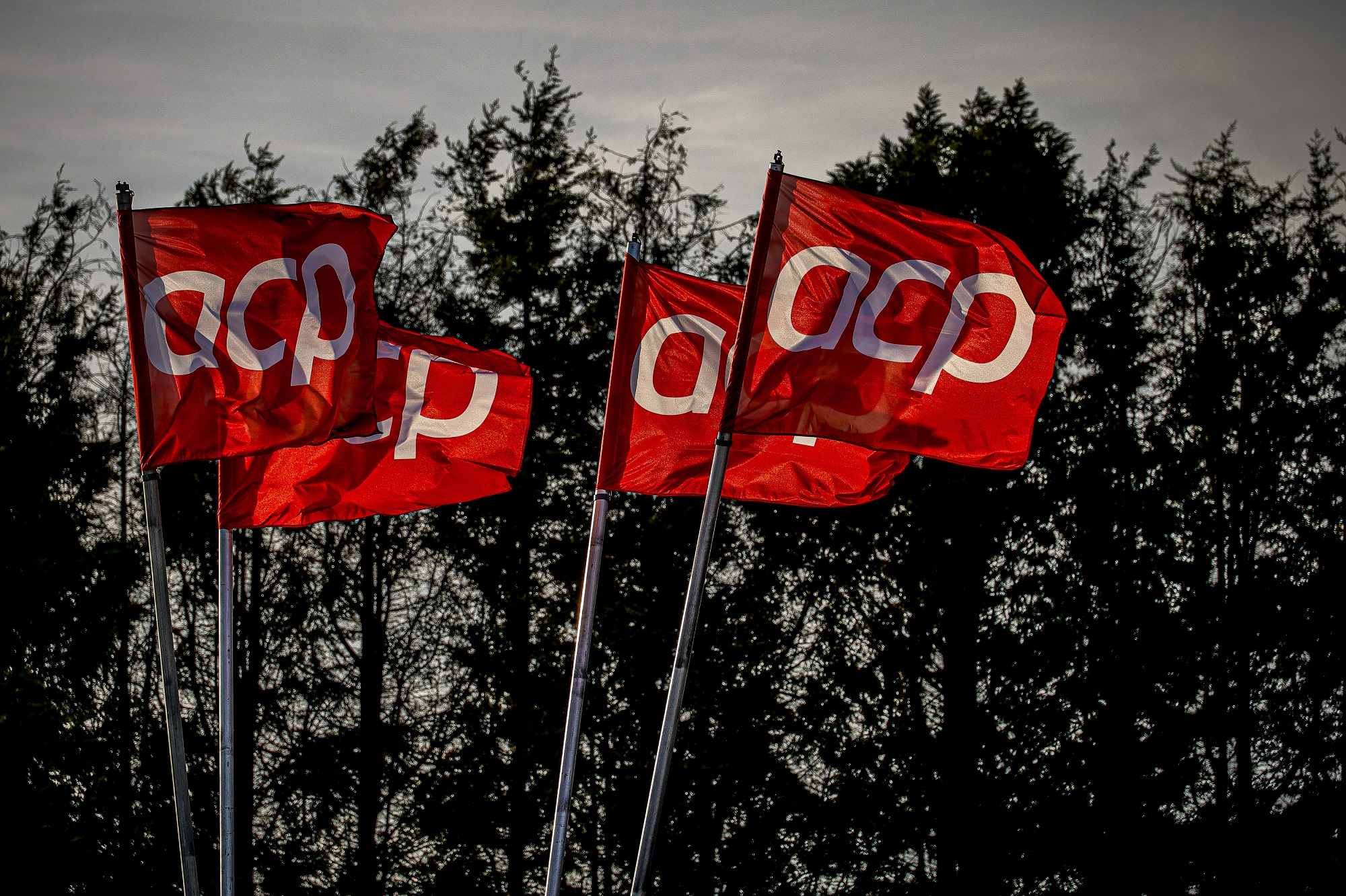 Falta uma semana para o WRC Vodafone Rally de Portugal 13