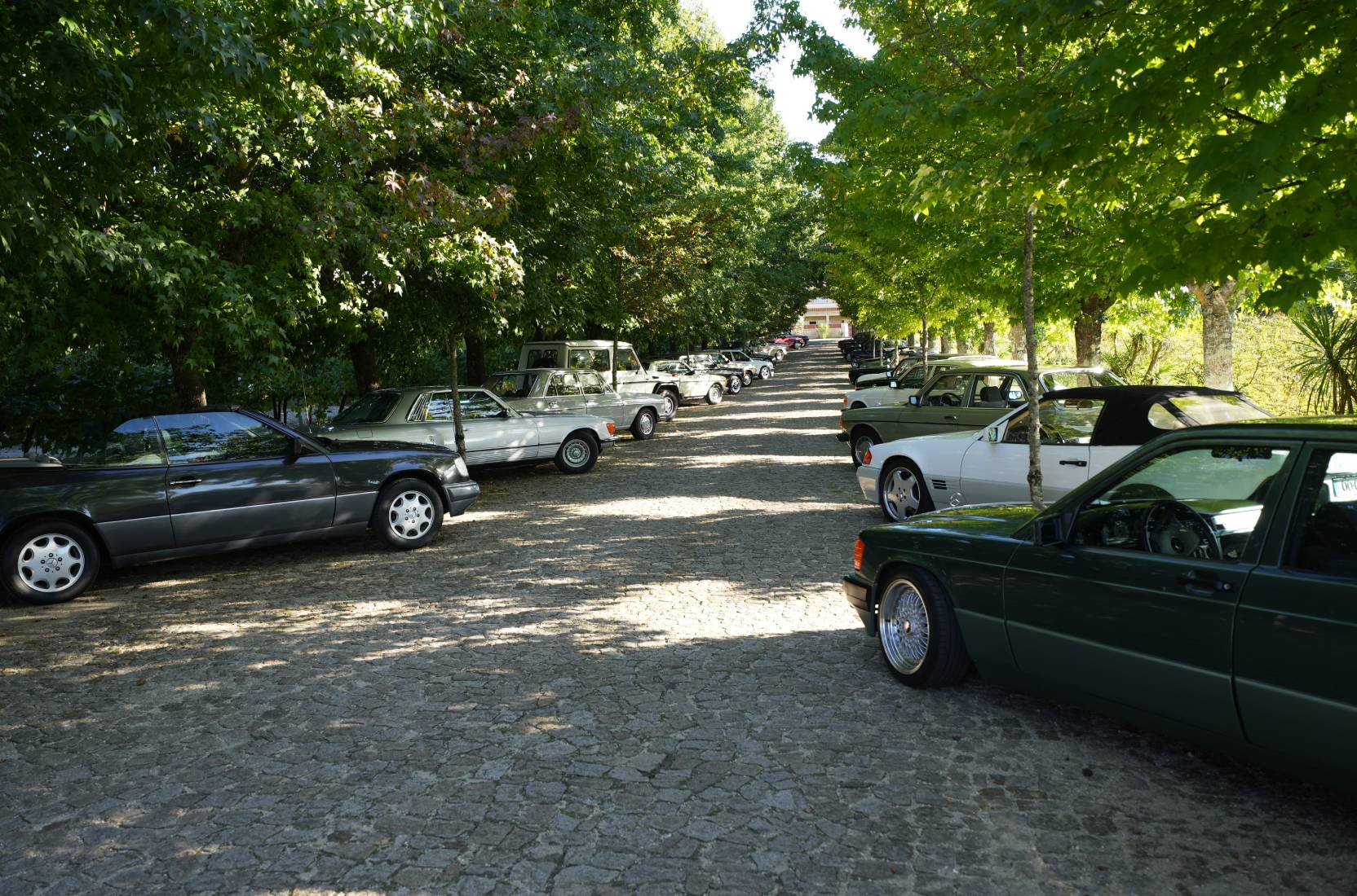 III Passeio de Clássicos Soc. Com. C. Santos homenageia Mercedes-Benz com mais de 30 anos ao som da fadista Katia Guerreiro 17