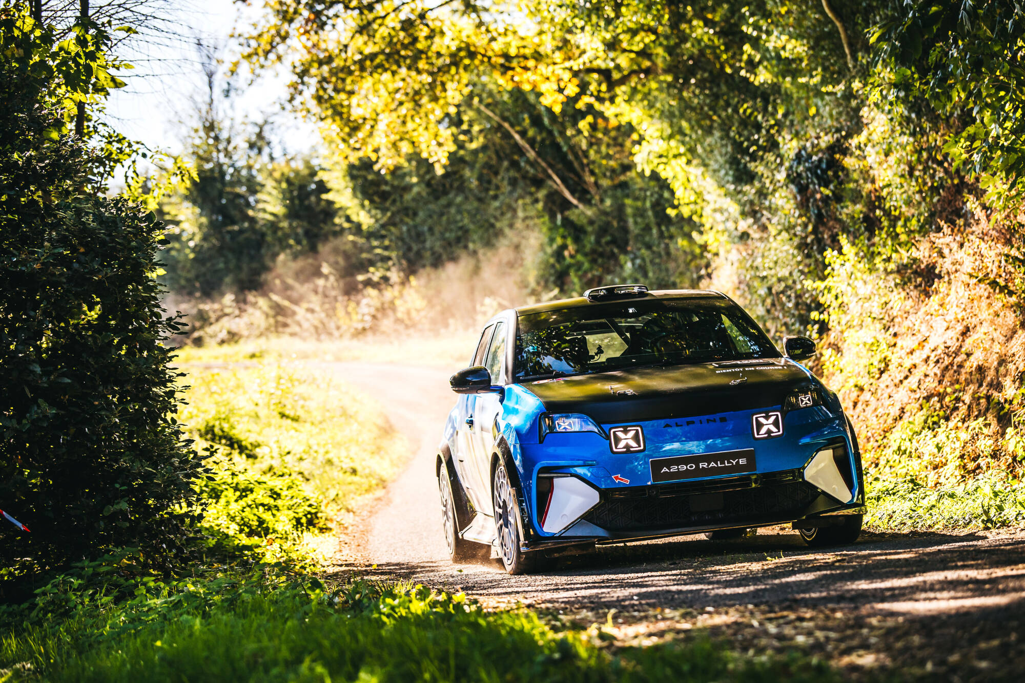 Alpine A290 Rallye 13