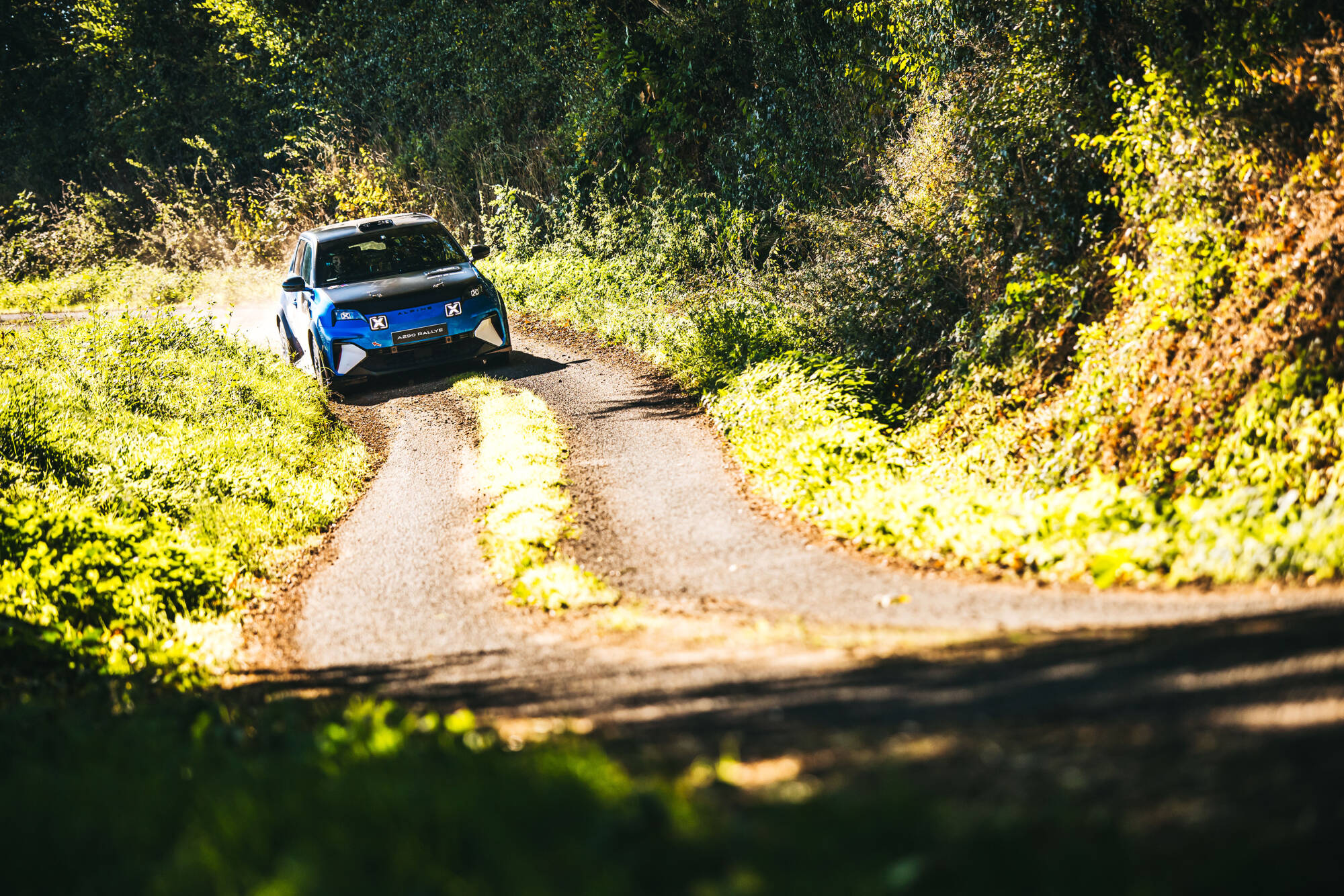 Alpine A290 Rallye 21