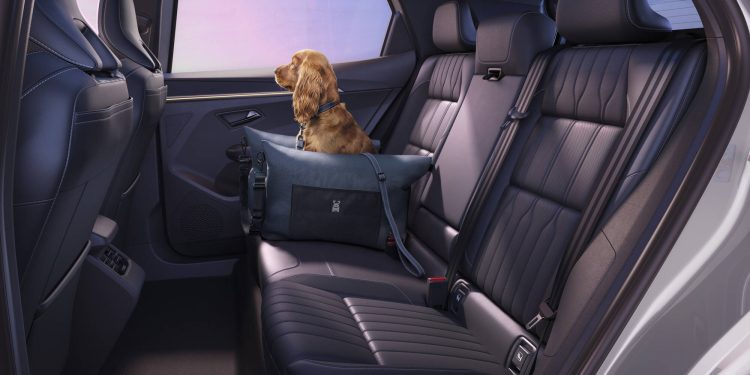 Scenic E-Tech elétrico: atualizado para um conforto, conectividade e desempenho elétrico melhorado 32